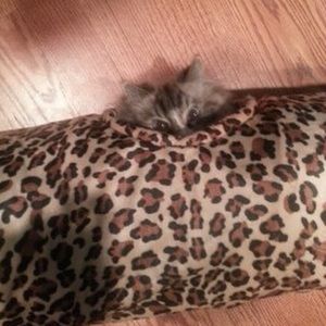 Meet your Posher, Kelly